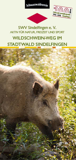 Wildschwein-Weg